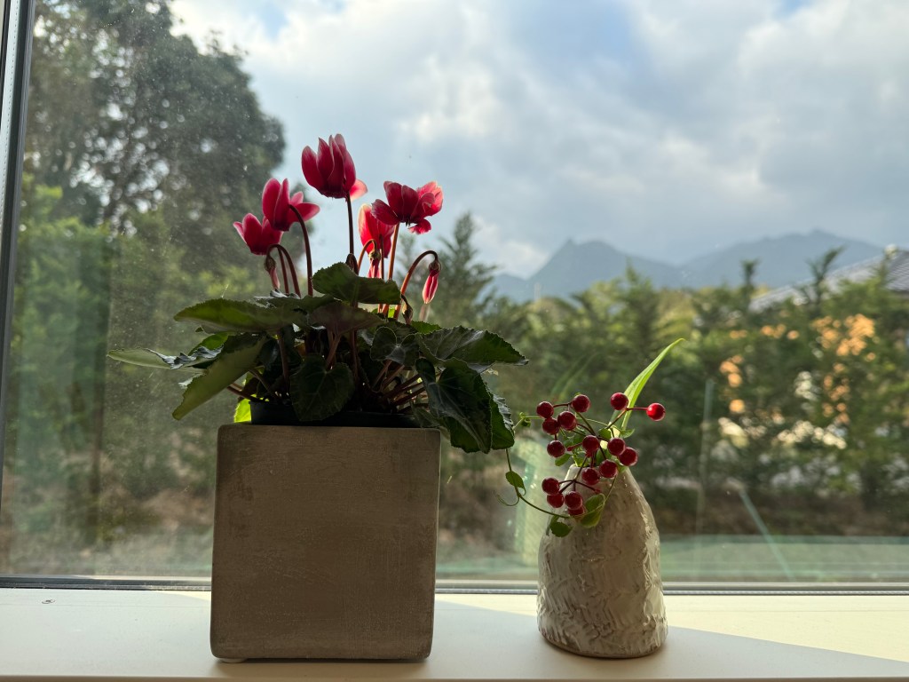 屋久島の冬の始まり、今年の振り返り