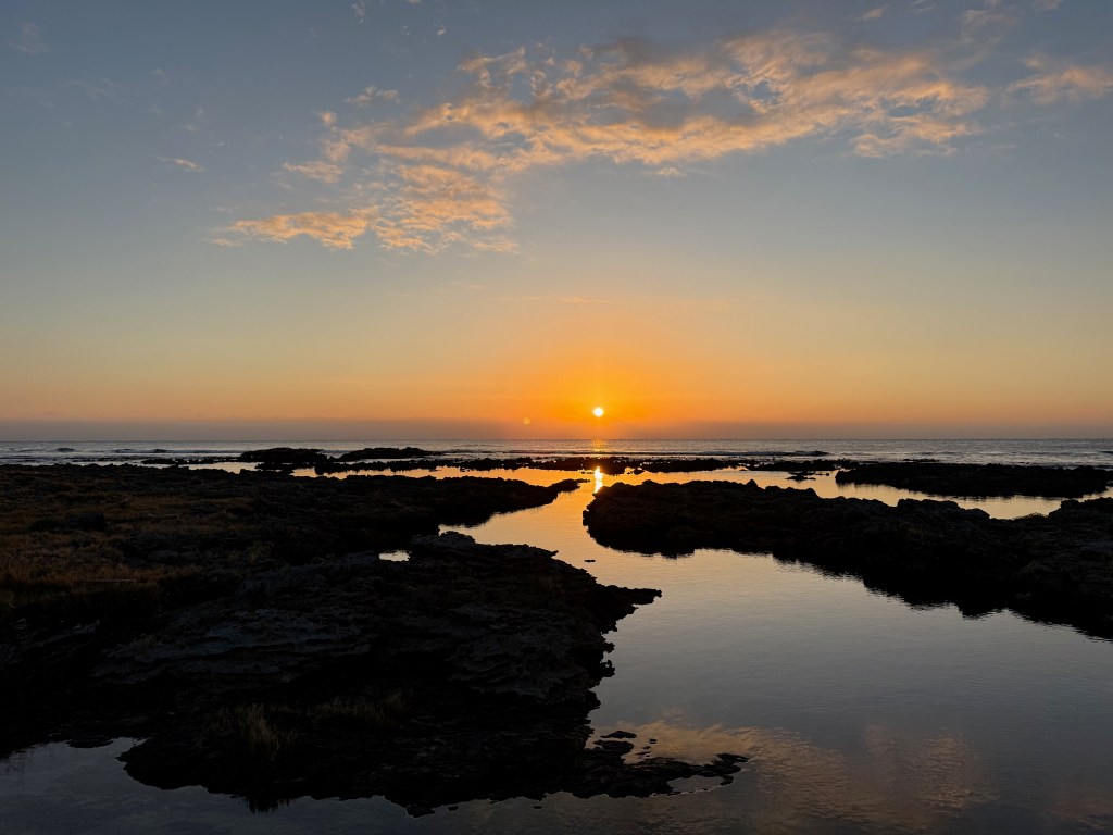 2025年明けましておめでとうございます