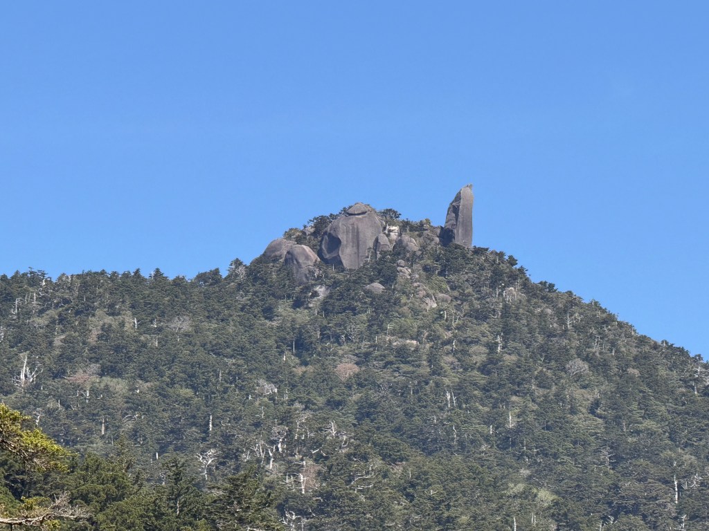 本格的に春になりました〜